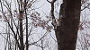 hana26 (110)_thumb.png